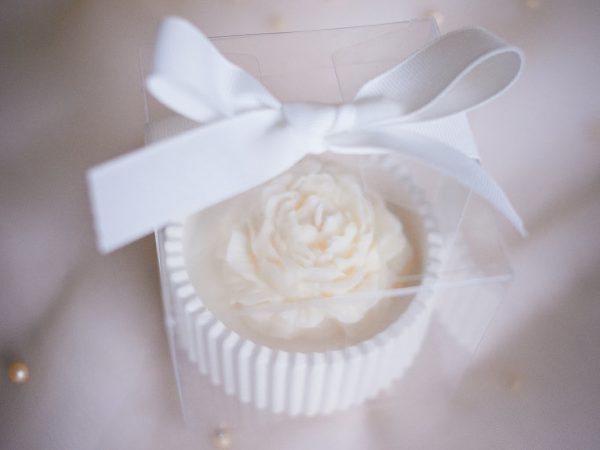 Božur u gipsanoj zdjelici