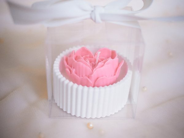 Srce u gipsanoj zdjelici