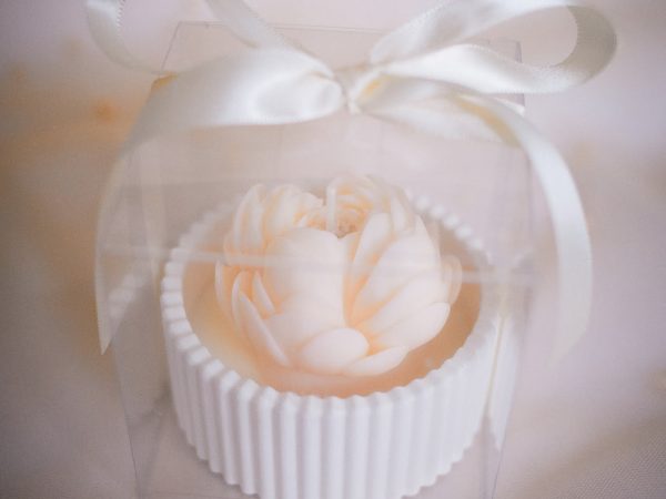 Cvijet u gipsanoj zdjelici